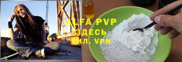 ГАЛЛЮЦИНОГЕННЫЕ ГРИБЫ Горно-Алтайск