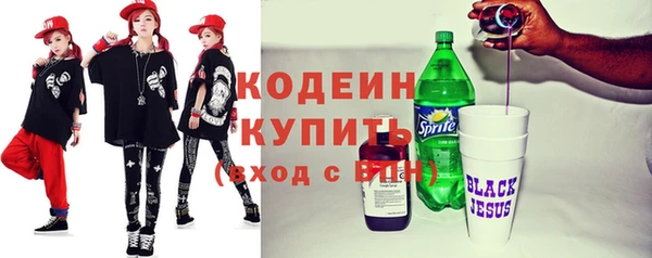 прущий лед Бикин