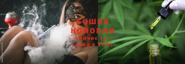 твердый Гусев