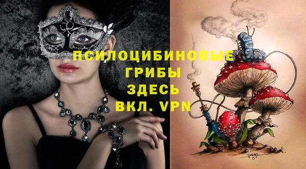 амф Горнозаводск