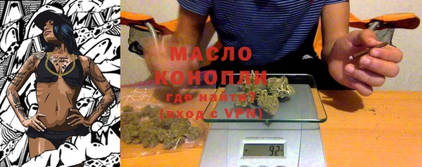 твердый Гусев