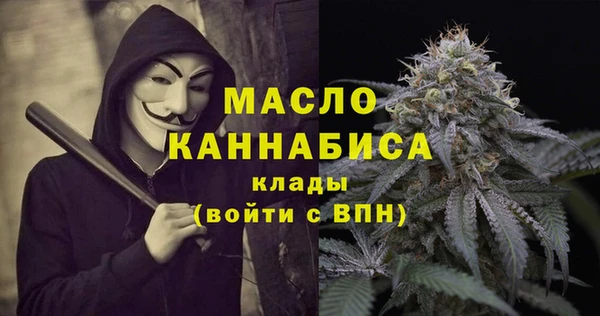 твердый Гусев