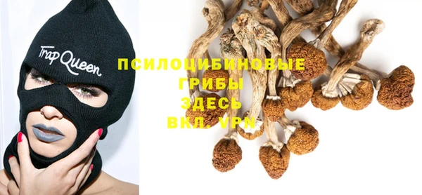 стафф Горняк