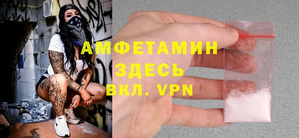 твердый Гусев