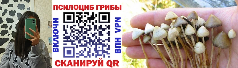 MEGA ONION  Жиздра  Псилоцибиновые грибы Magic Shrooms 